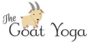 The Goat Yoga - Michigan Goat Yoga