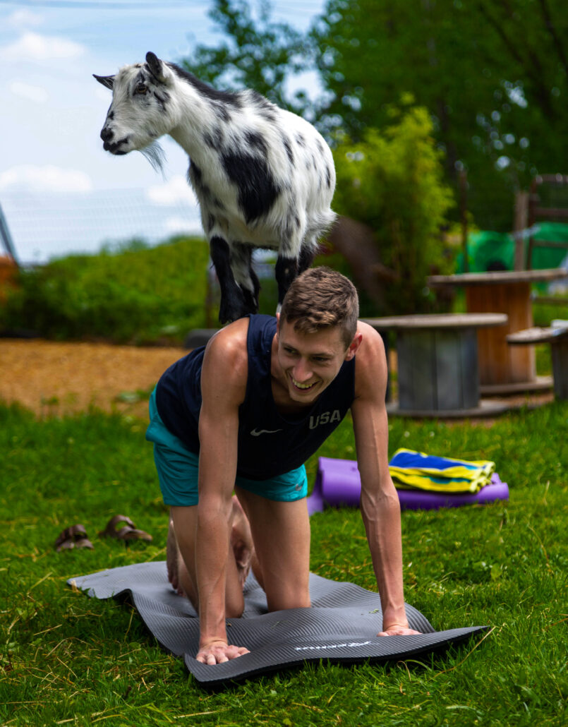 Goat Yoga3127 The Goat Yoga Michigan Goat Yoga