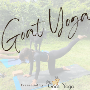 Goat Yoga Classes